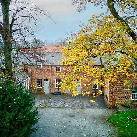 No 3 - Lime Tree - Pass The Keys York