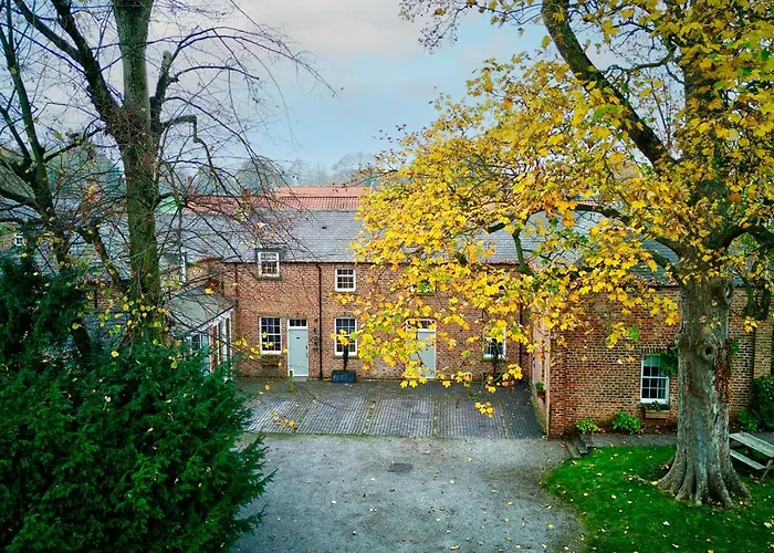 No 3 - Lime Tree - Pass The Keys York